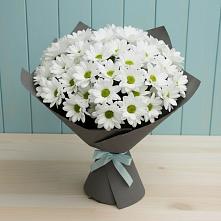 Букет цветов из:  Хризантемы #REPLACE_PRED# Верхнем Казанище