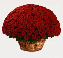 Премиум букет из: Розы в Верхнем Казанище